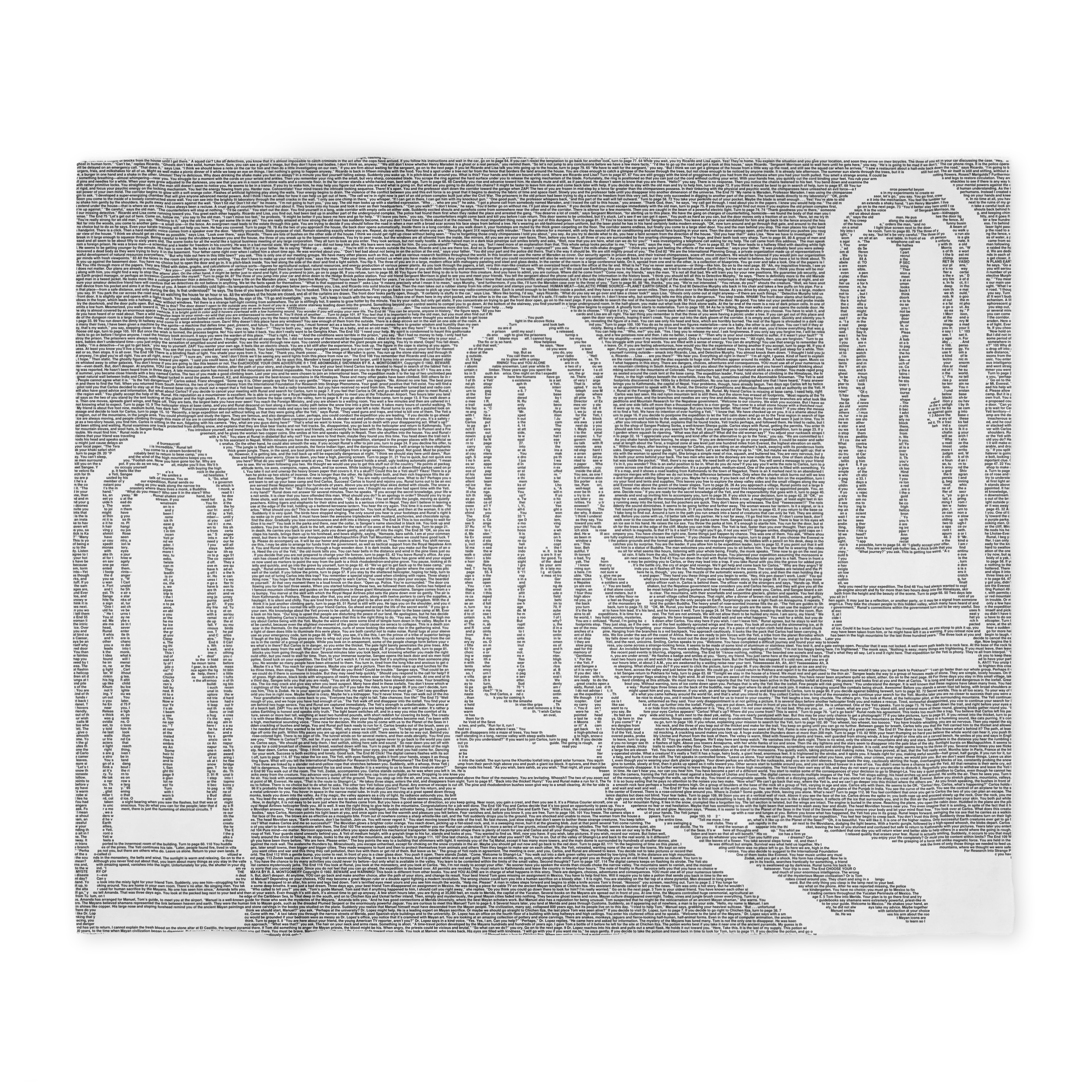 Choose Your Own Adventure