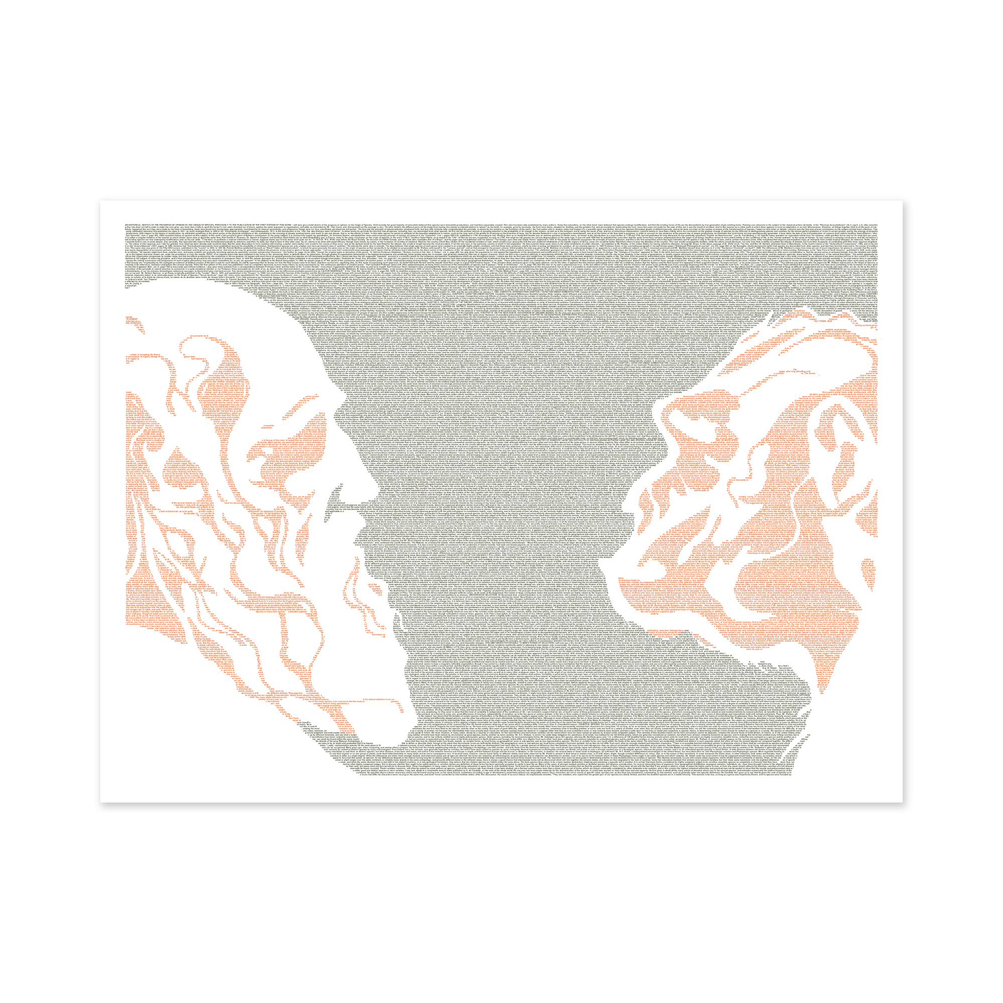 darwin_18x24_darkgreen1.png?v=
