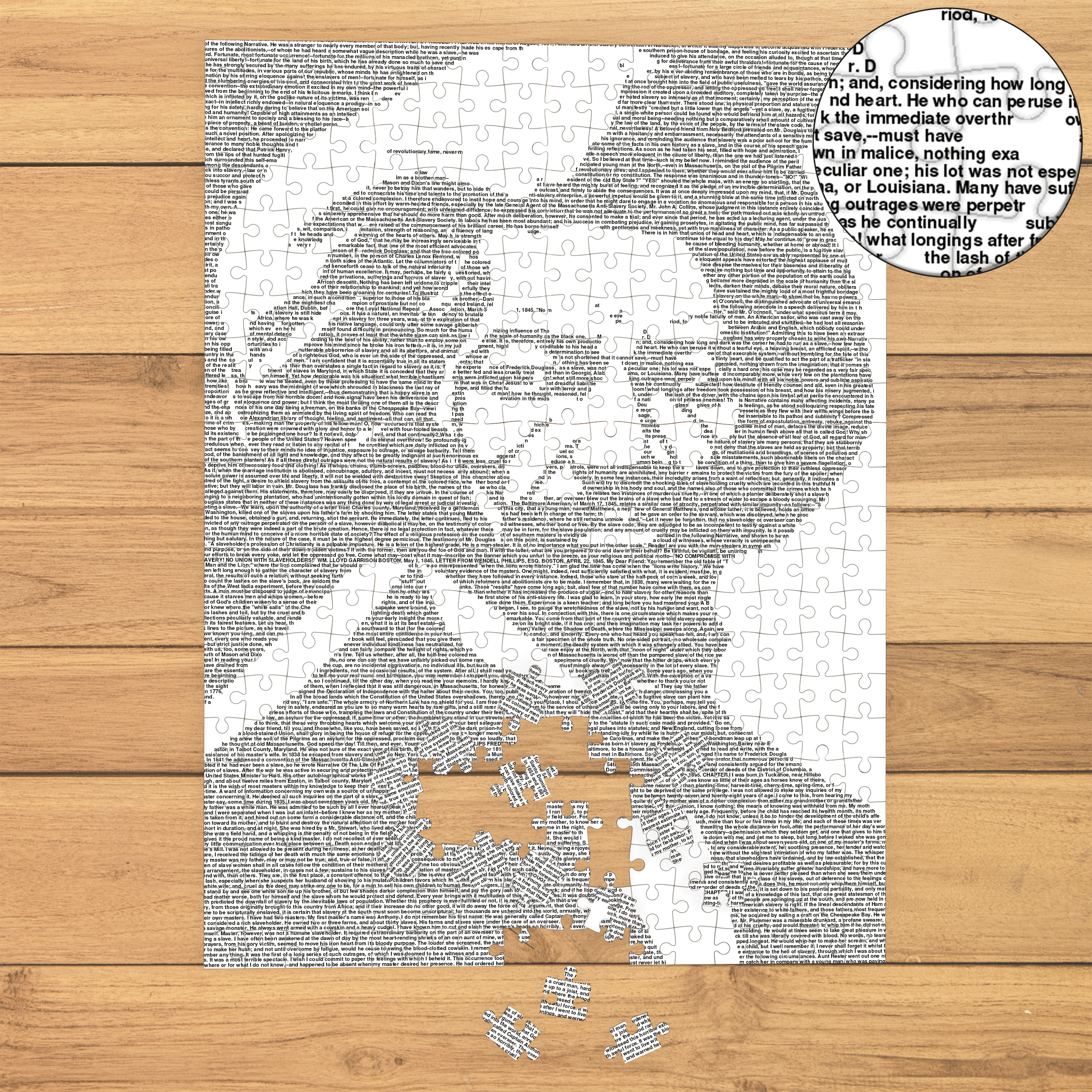 Litographs | Narrative of the Life of Frederick Douglass | Book Puzzle