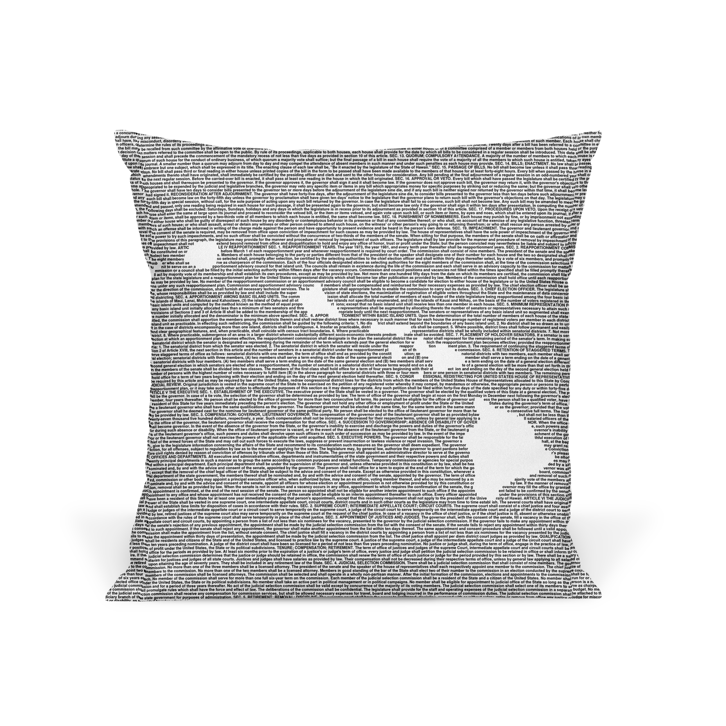 Litographs | Hawaii’s Constitution | Book Pillow