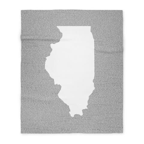 Illinois's Constitution