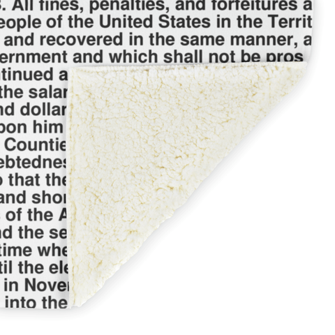 Nevada's Constitution alternate image