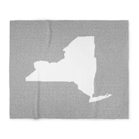 New York's Constitution