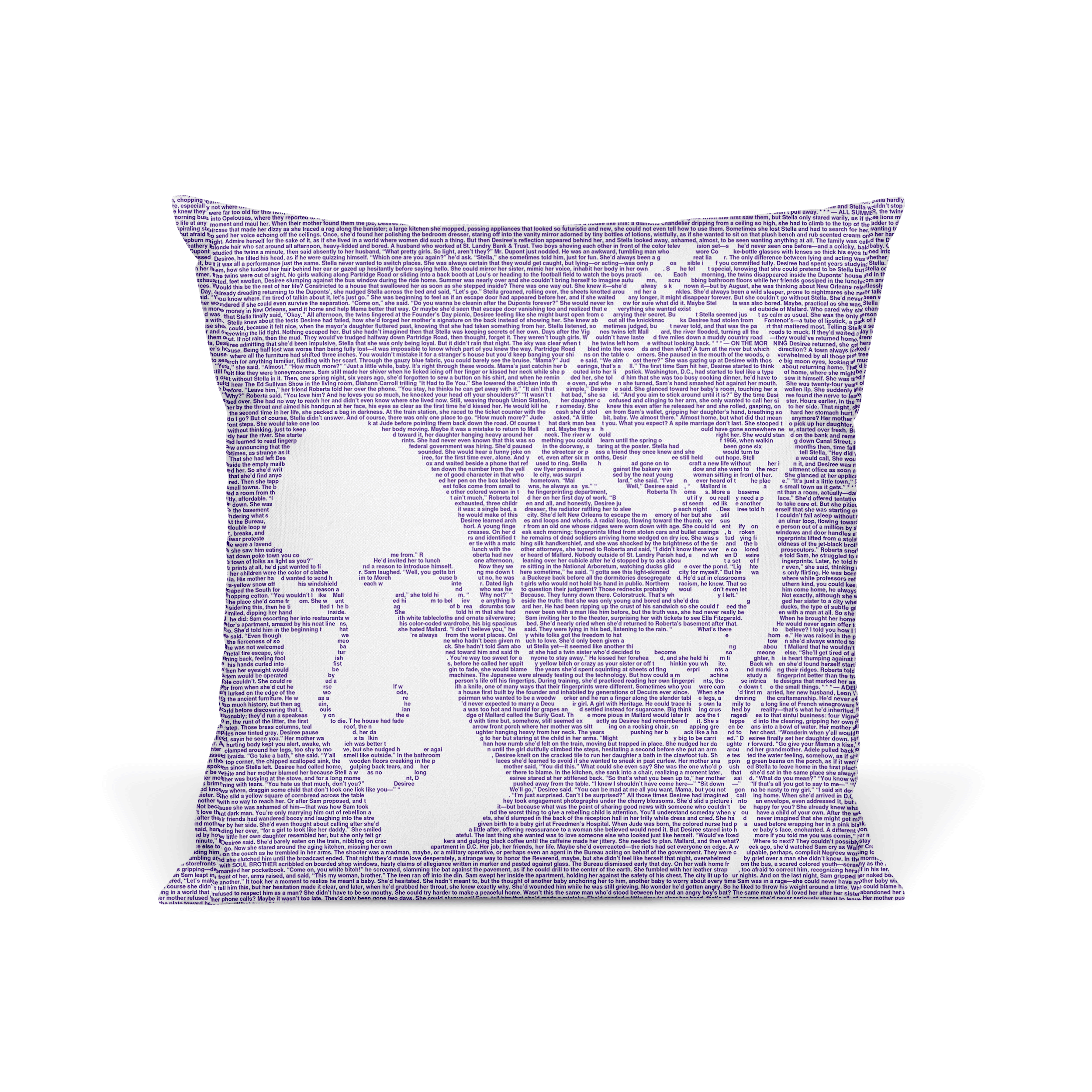 Litographs The Vanishing Half Book Pillow