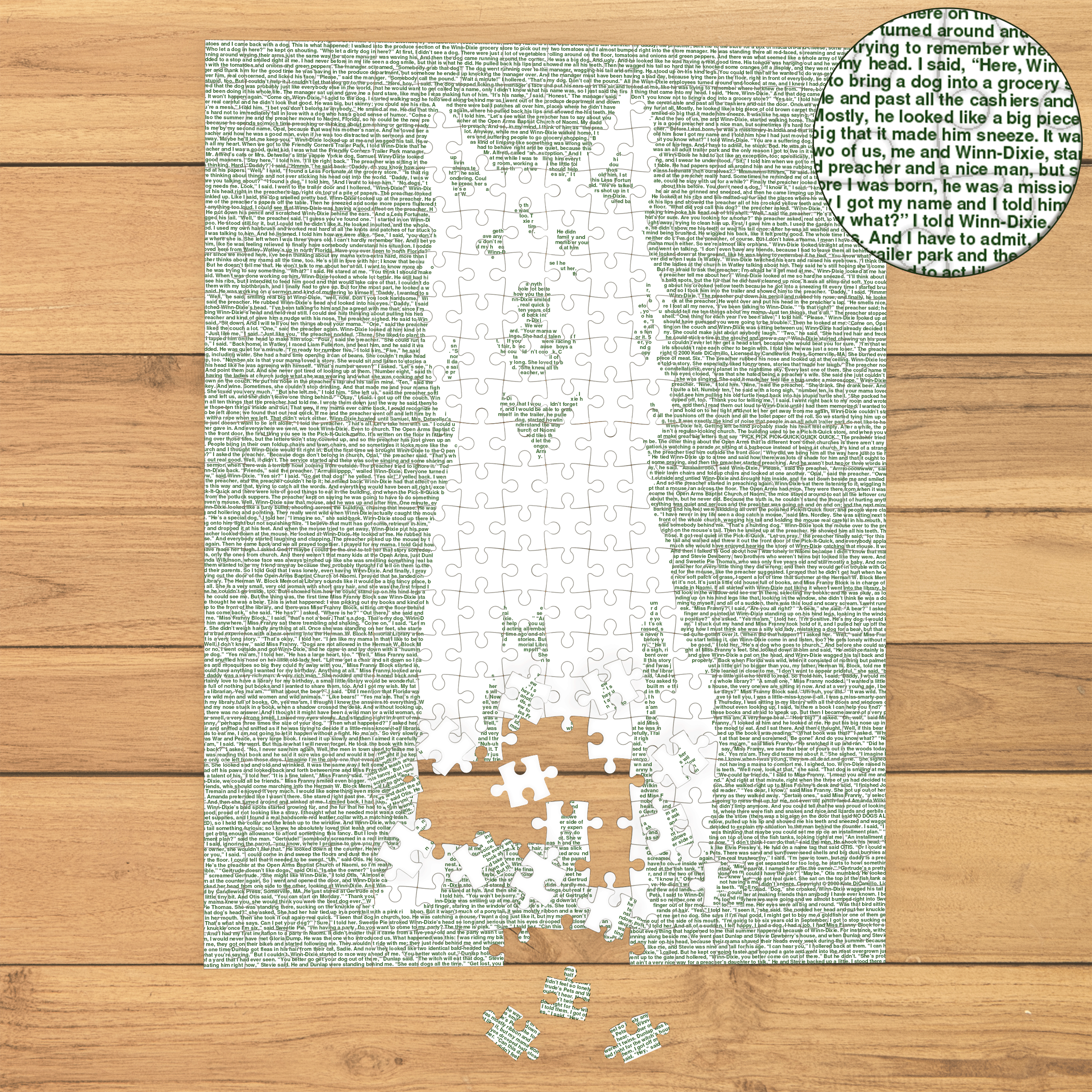 Because of Winn-Dixie