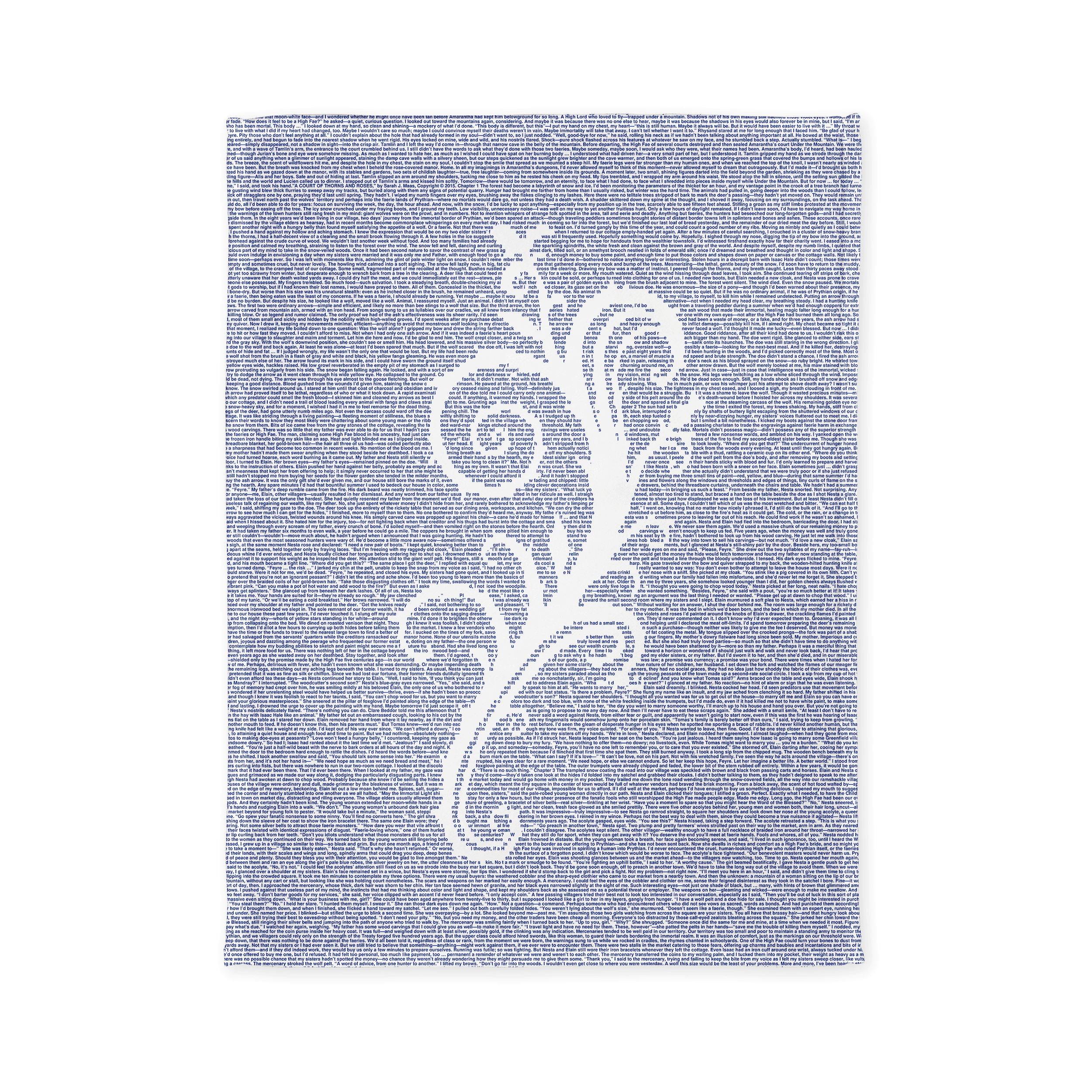 Litographs | A Court of Thorns and Roses | Book Blanket