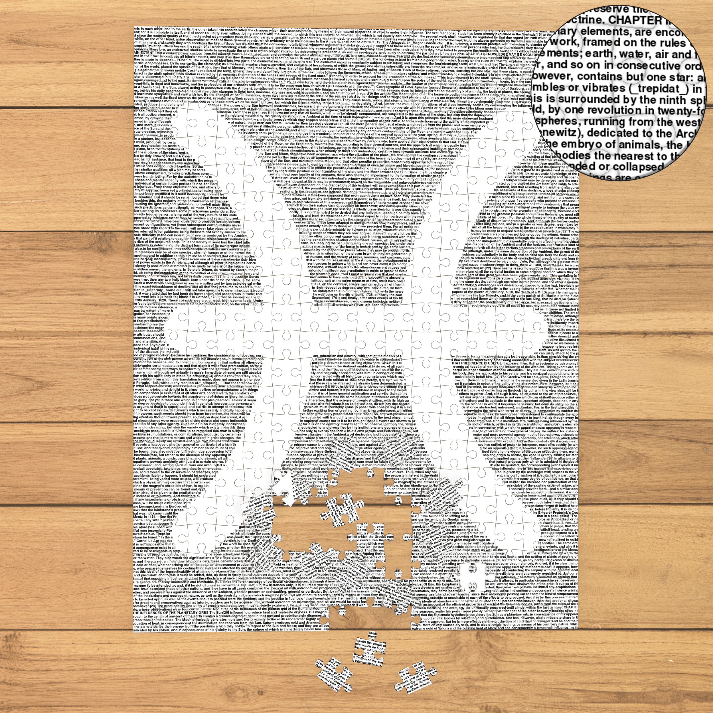 Litographs | Zodiac Signs: Pisces | Book Puzzle
