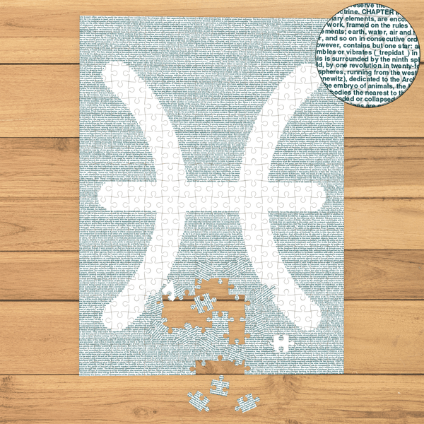 Litographs | Zodiac Signs: Pisces | Book Puzzle