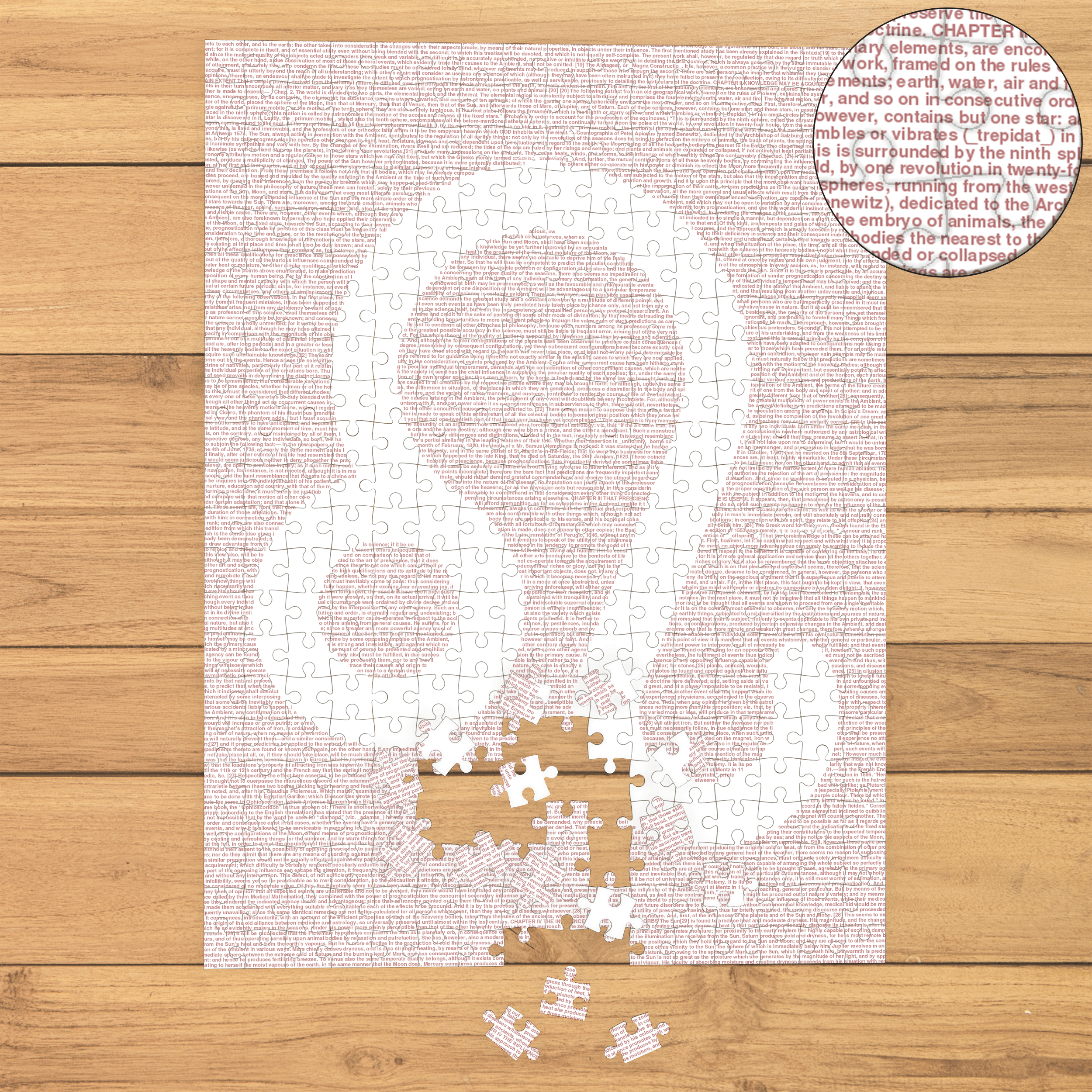 Litographs | Zodiac Signs: Leo | Book Puzzle