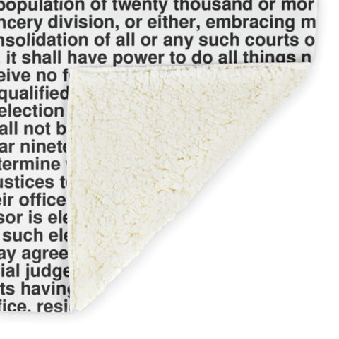 Alabama's Constitution alternate image