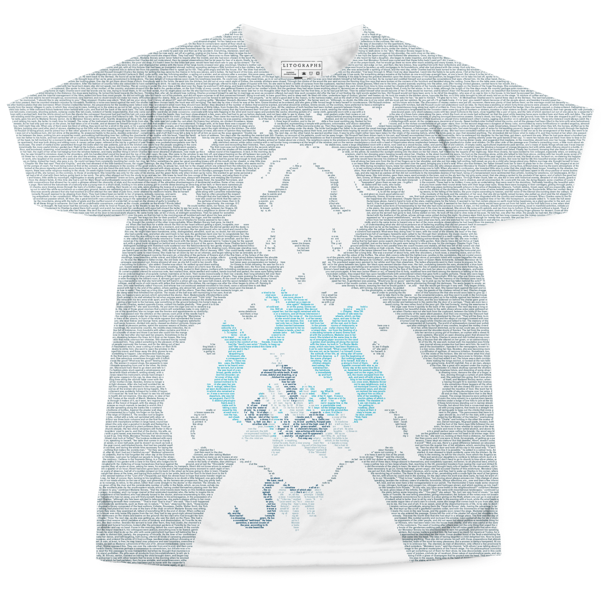 Litographs | Madame Bovary | Book T-Shirt