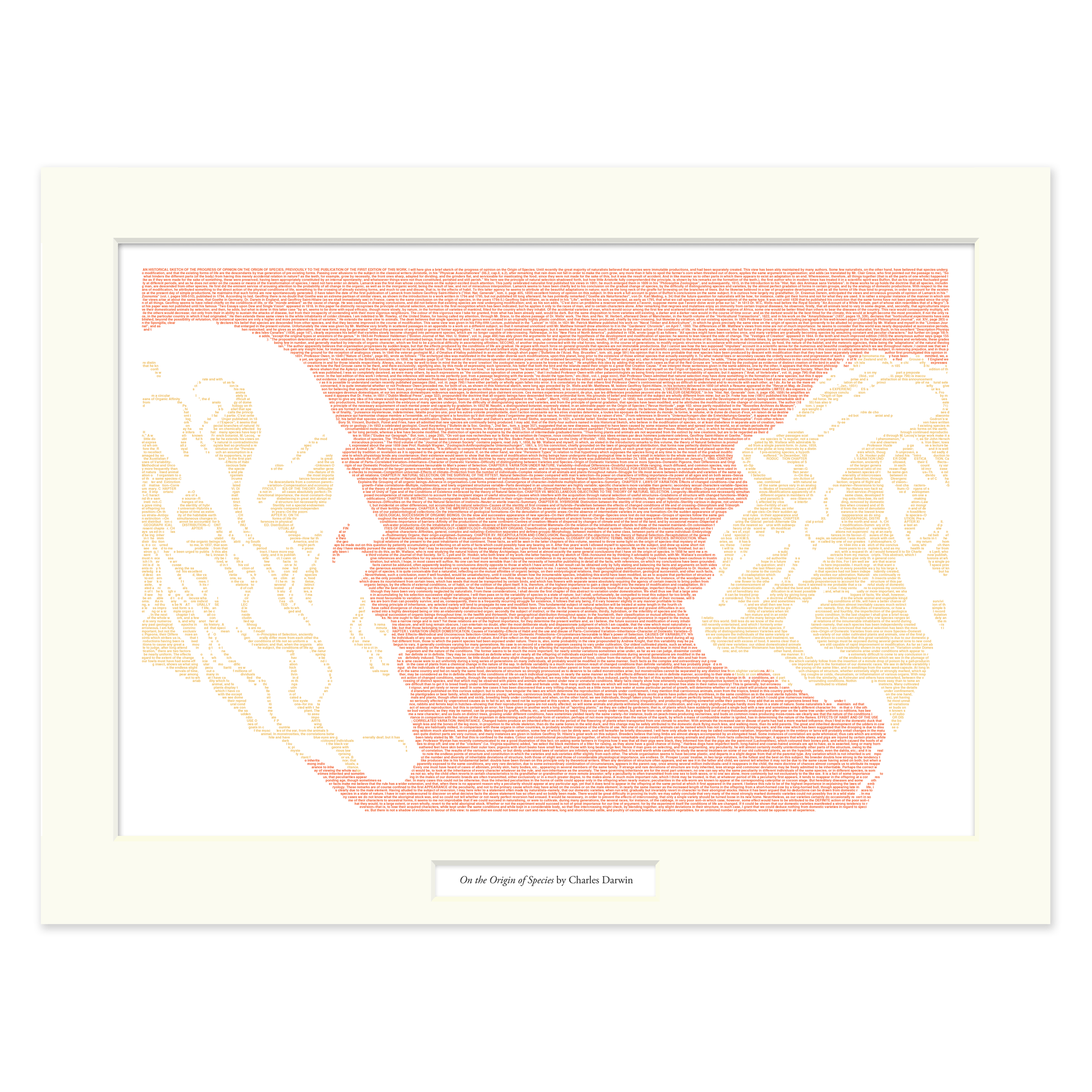 darwin_12x16_orange1.png?v=