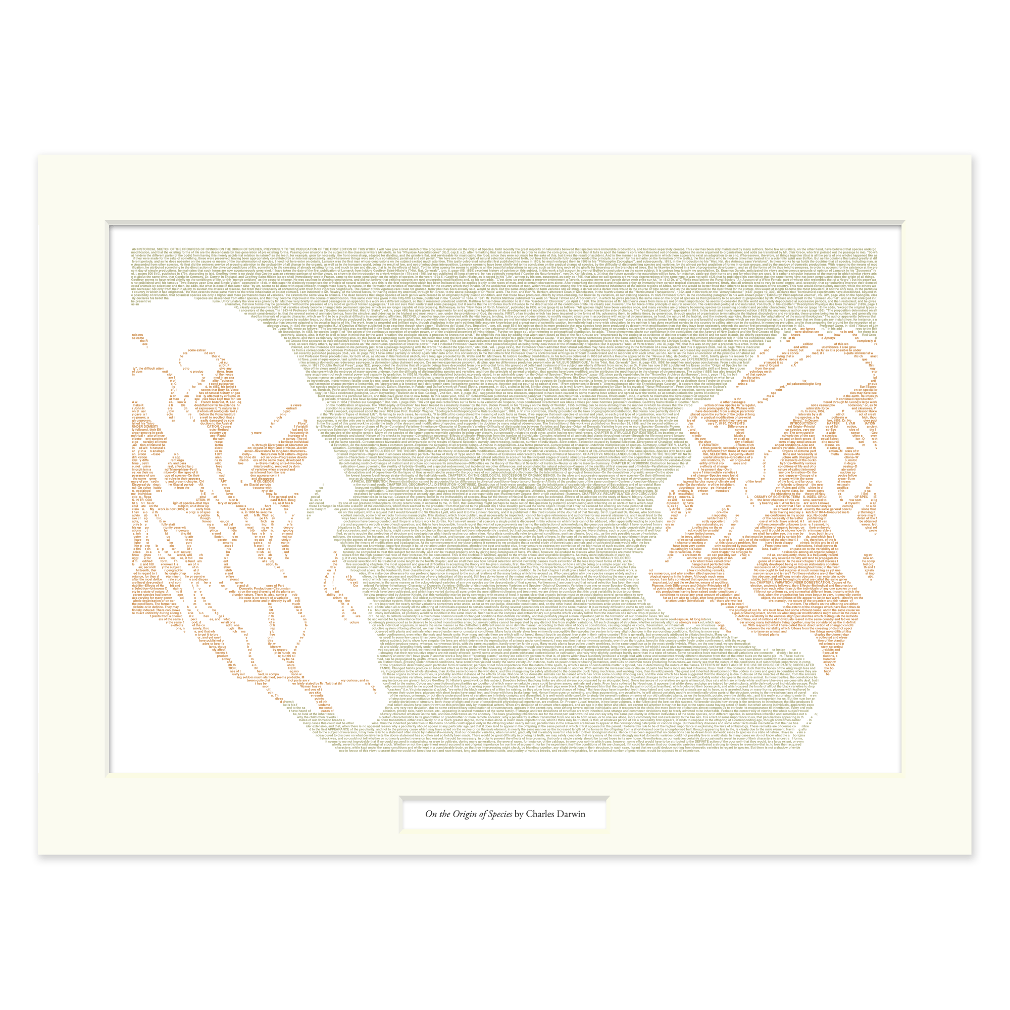 Litographs | On the Origin of Species | Book Poster