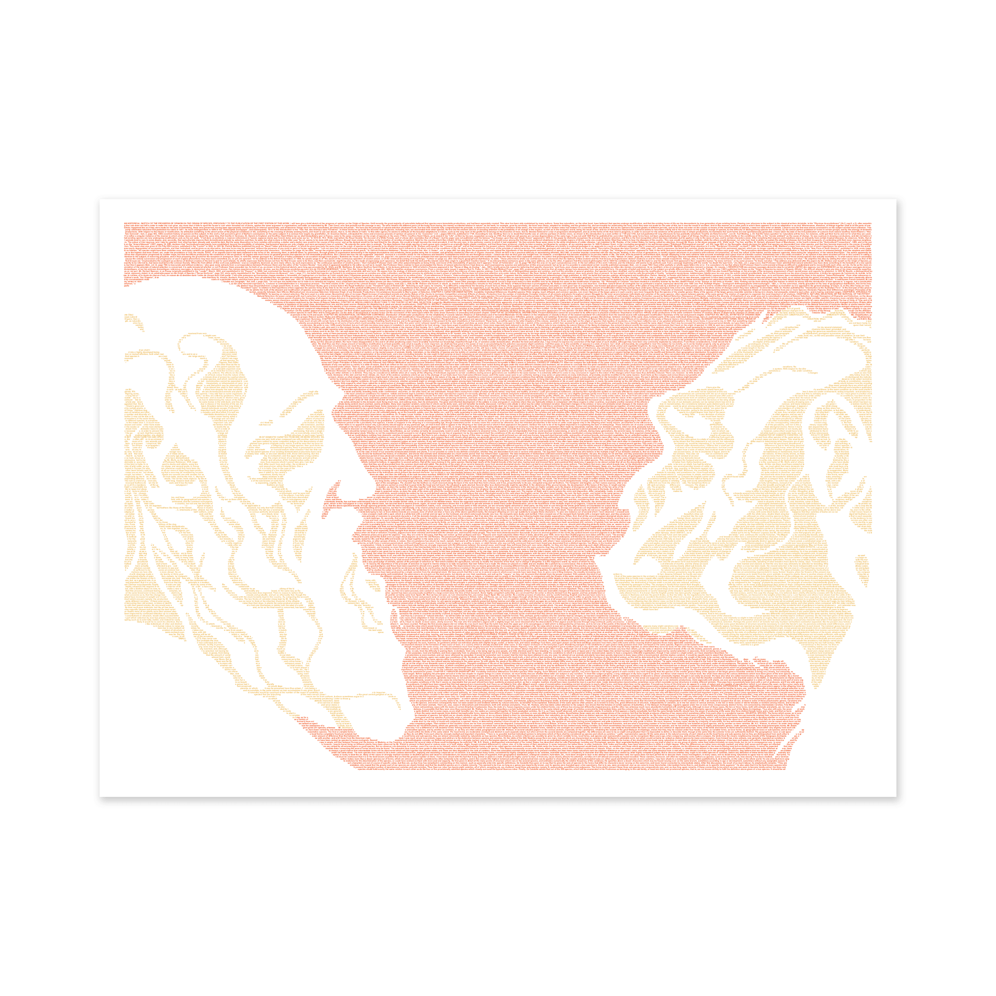 Litographs | On the Origin of Species | Book Poster Litographs | On the Origin of Species | Book Poster