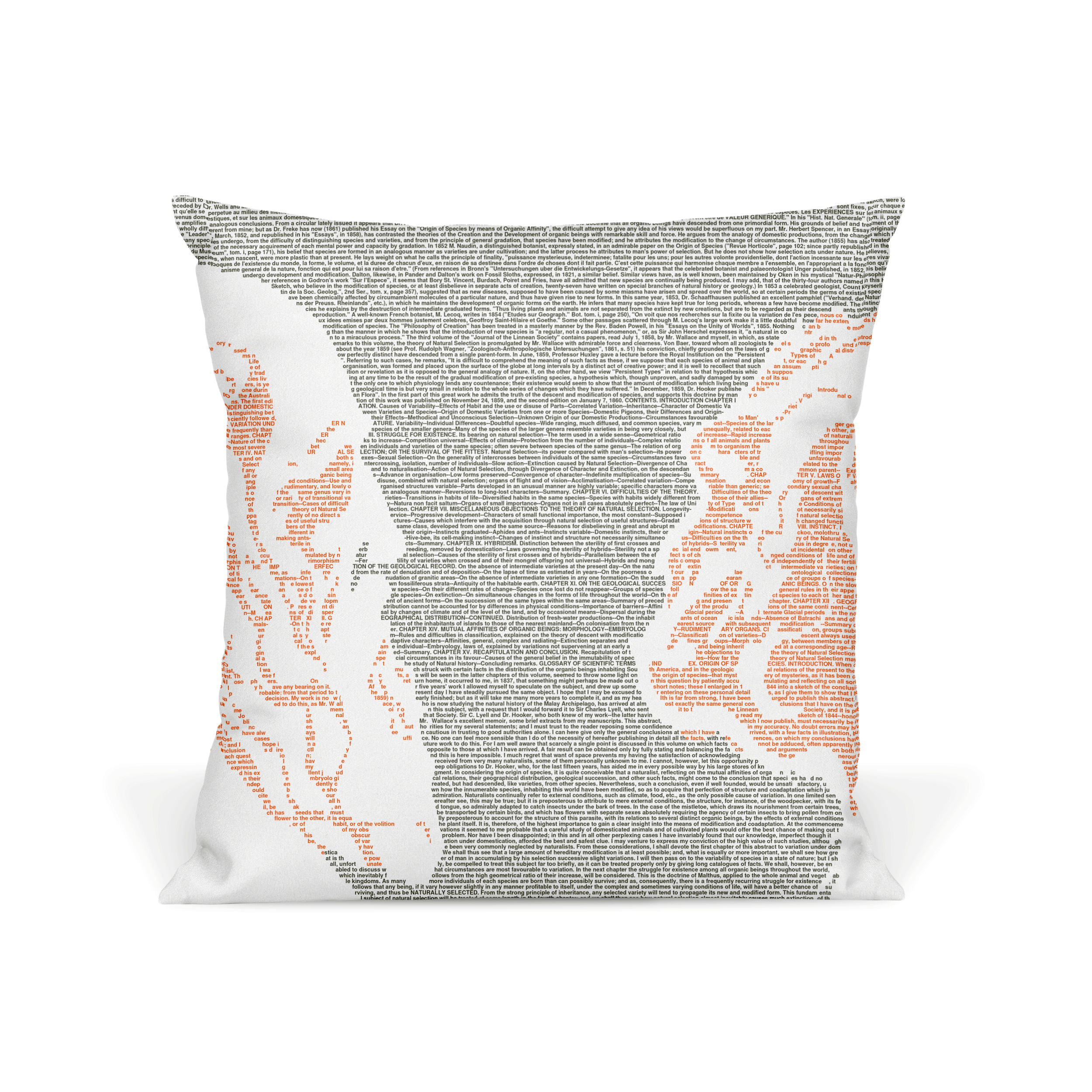 Litographs On the Origin of Species Book Pillow