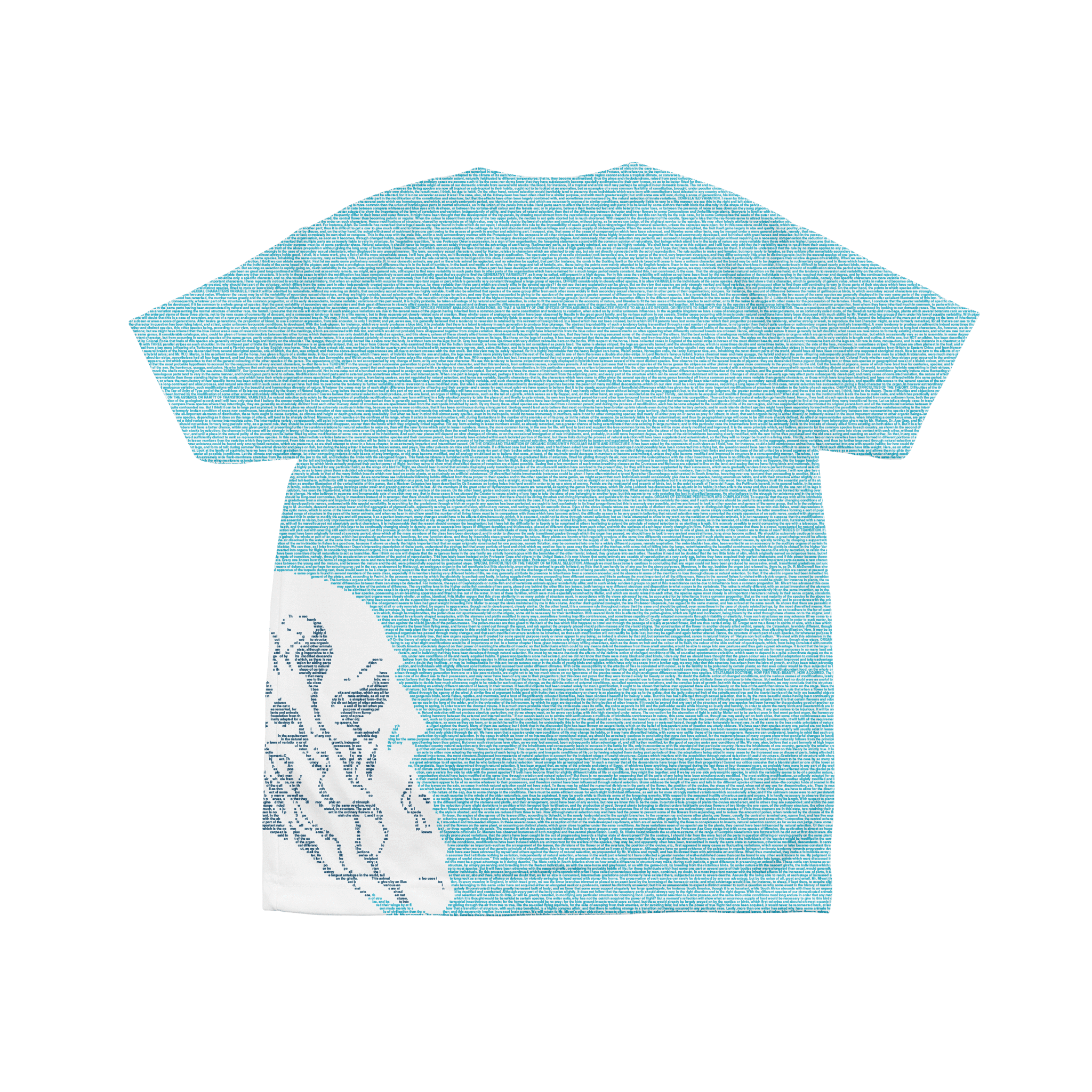 darwin_tee_kids_m_lightblue1_b