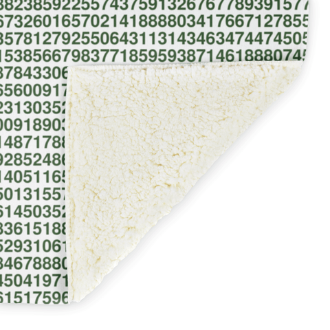 Fibonacci Sequence alternate image