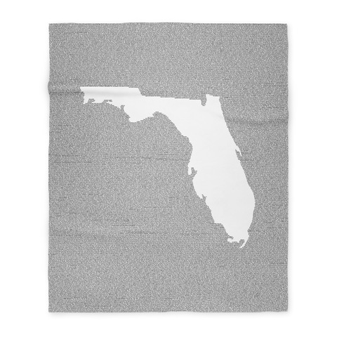 Florida's Constitution
