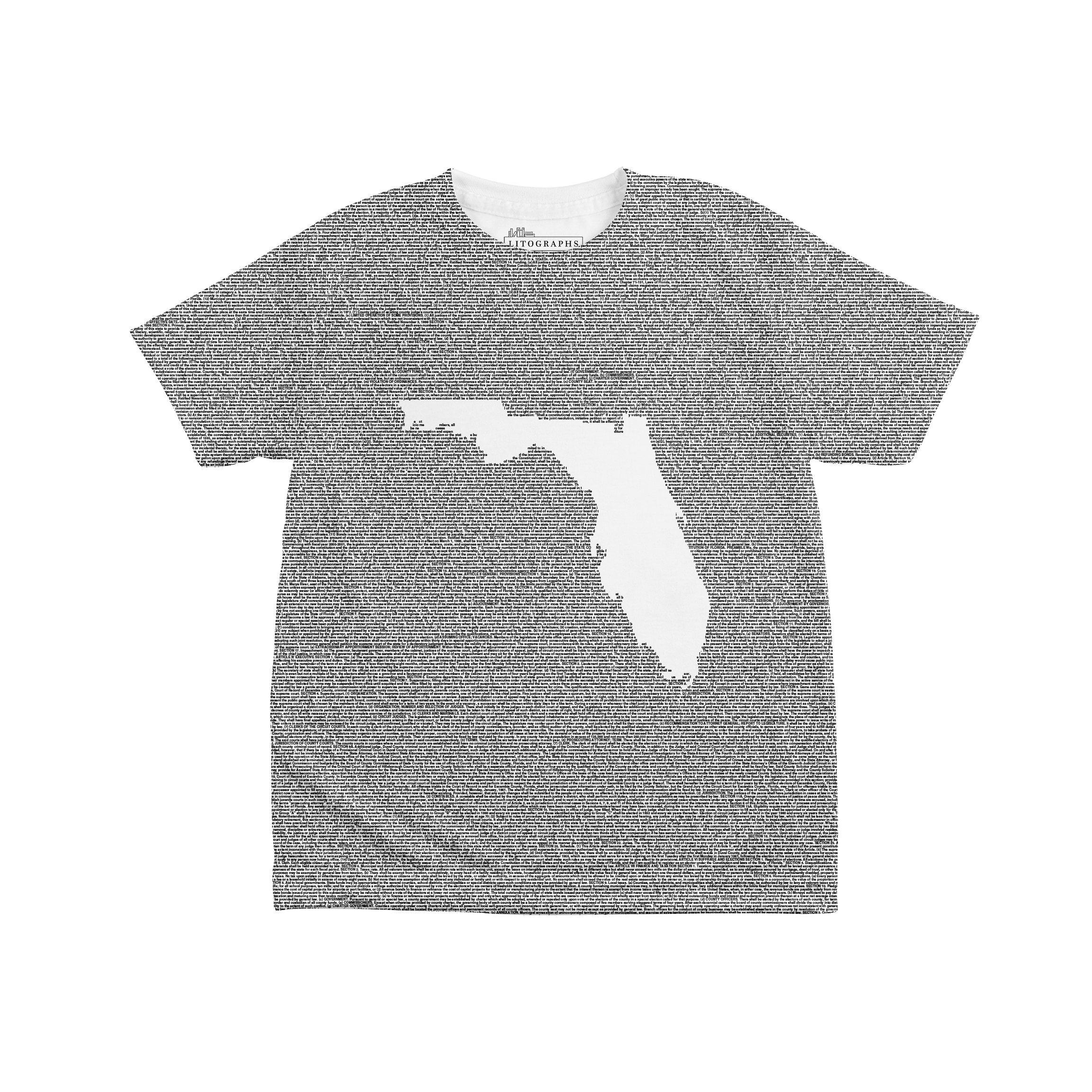Litographs | Florida’s Constitution | Book T-Shirt