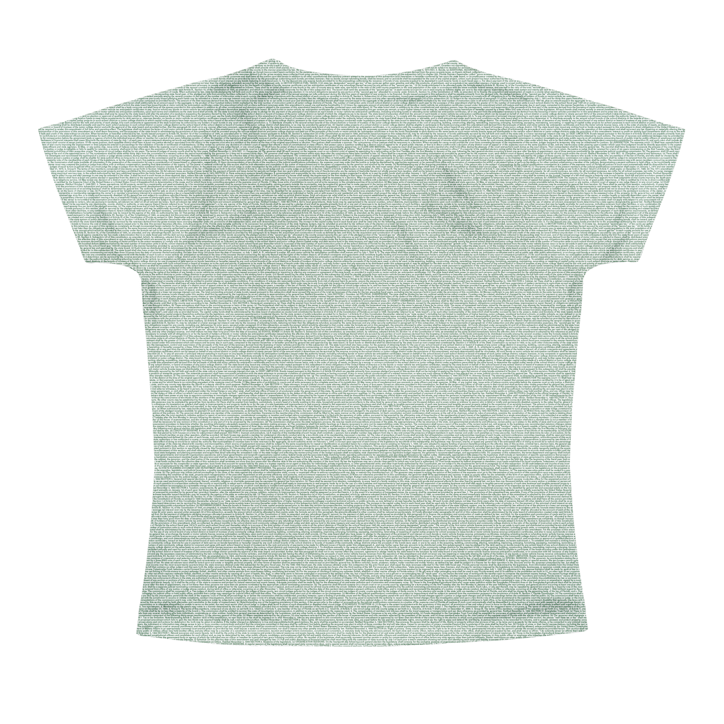 Litographs | Florida’s Constitution | Book T-Shirt
