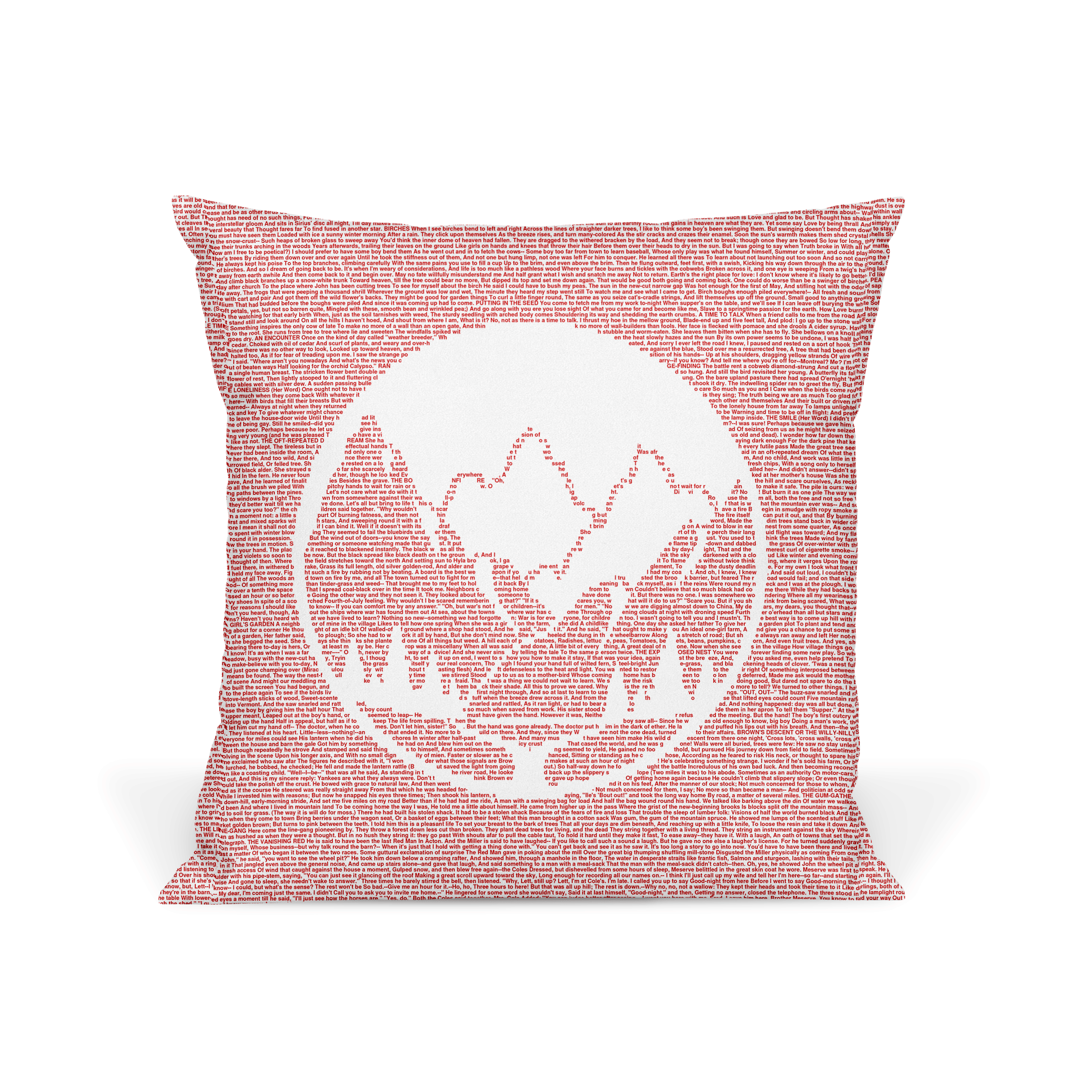 Litographs Poems Book Pillow