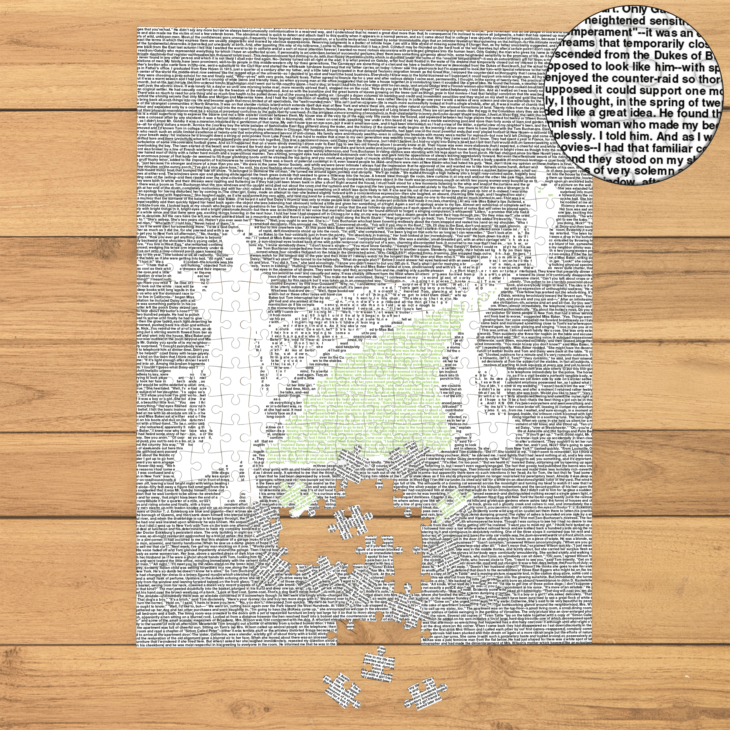 Litographs | The Great Gatsby | Book Puzzle