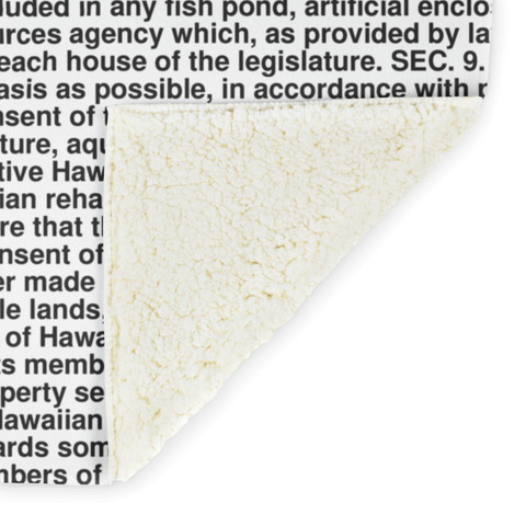 Hawaii's Constitution alternate image