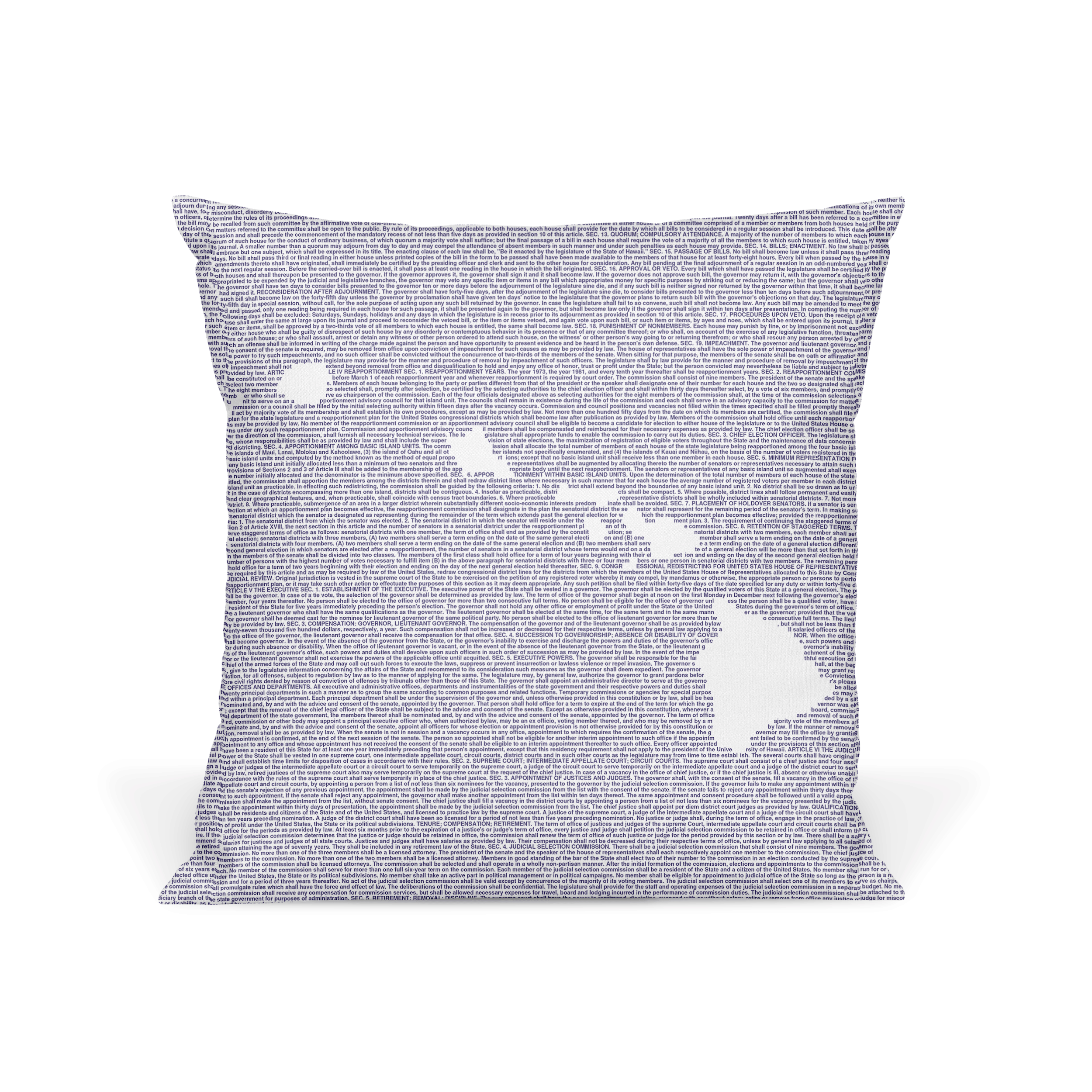 Litographs | Hawaii’s Constitution | Book Pillow