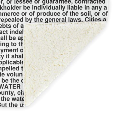 Idaho's Constitution alternate image
