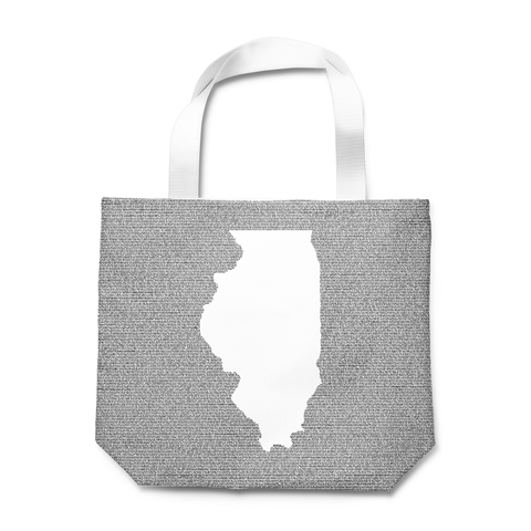 Illinois's Constitution