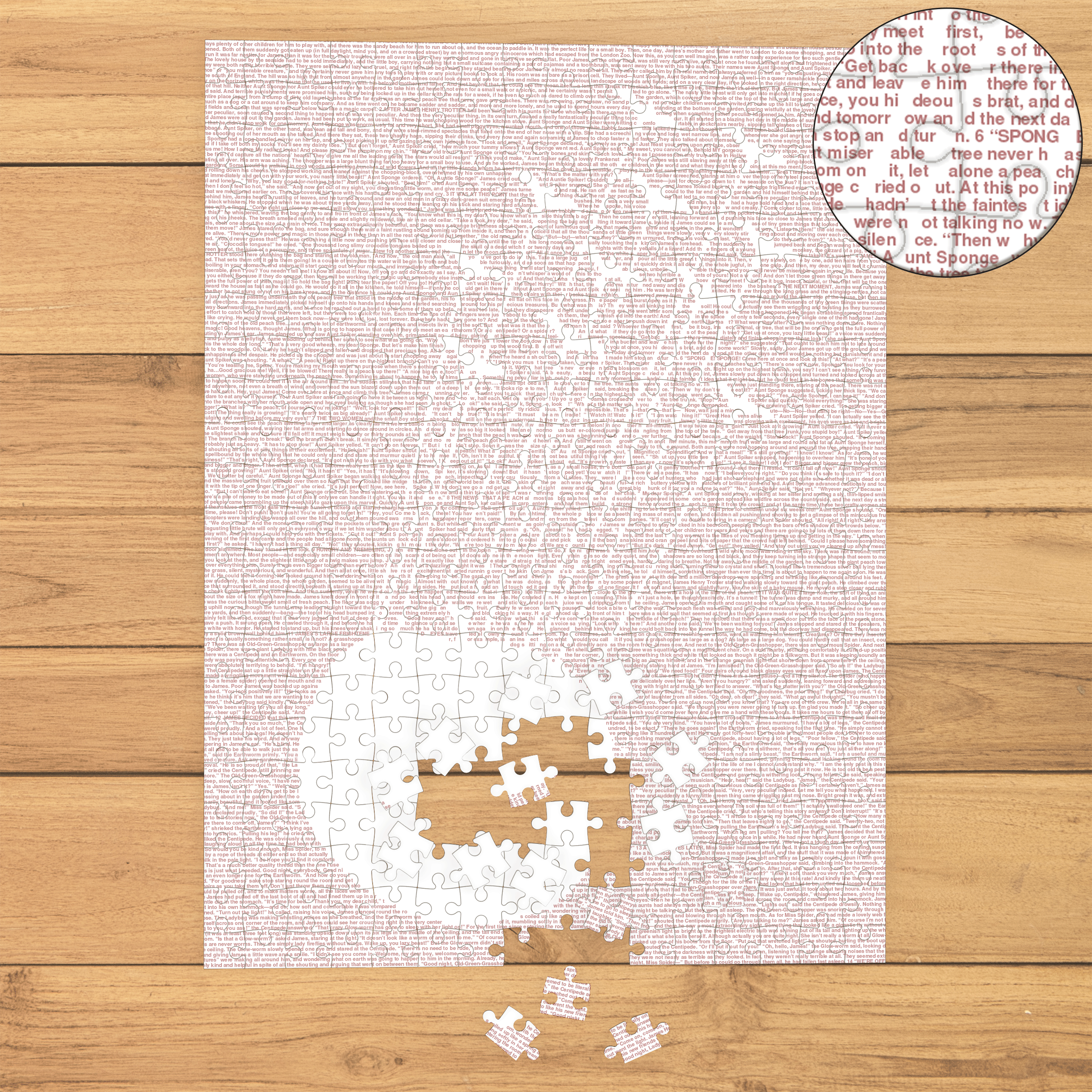 Litographs | James and the Giant Peach | Book Puzzle