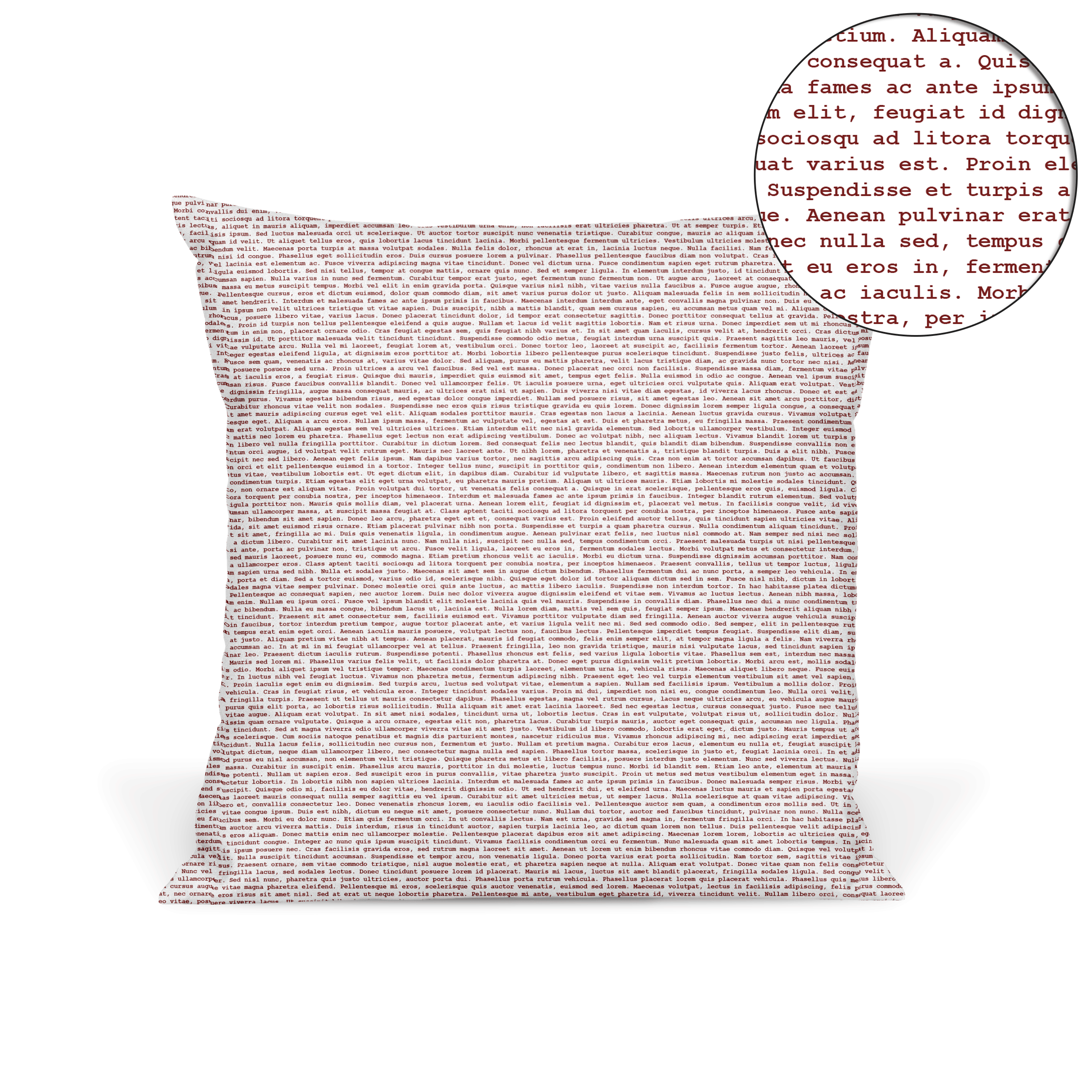 Custom Pillow Book Pillow Litographs