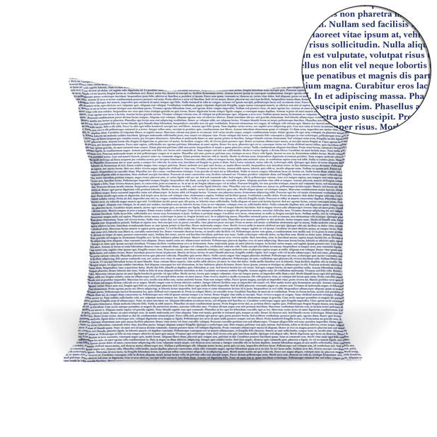 Litographs Custom Pillow Book Pillow