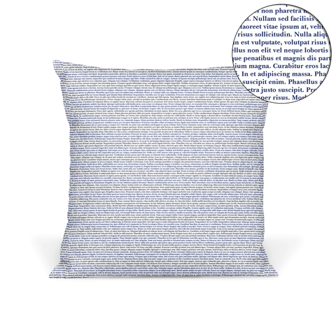 NaNoWriMo Custom Pillow
