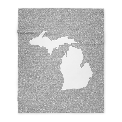 Michigan's Constitution