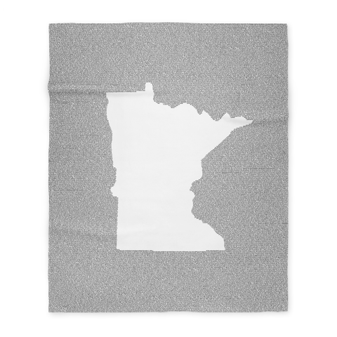 Minnesota's Constitution