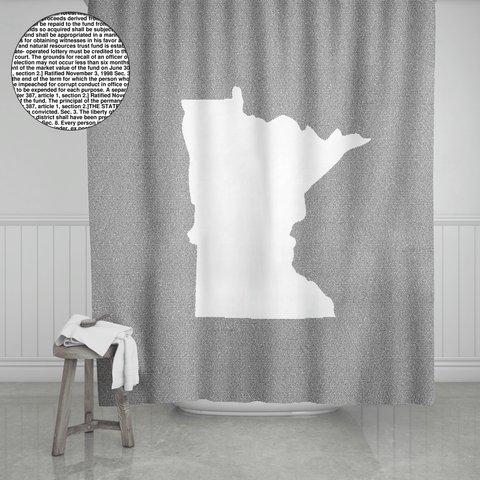 Minnesota's Constitution