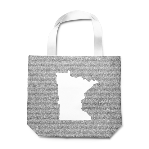 Minnesota's Constitution