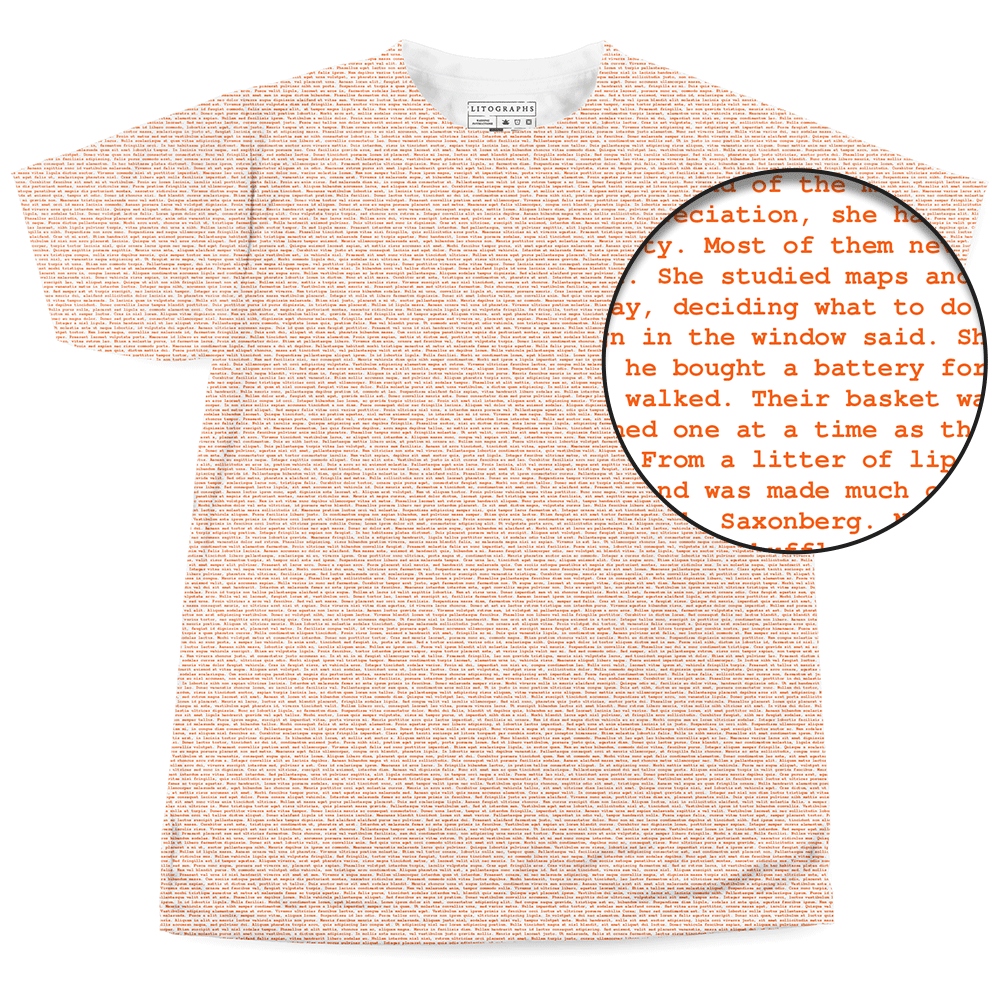 Litographs | From the Mixed-Up Files of Mrs. Basil E. Frankweiler