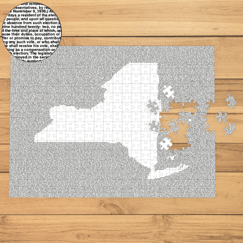 New York's Constitution