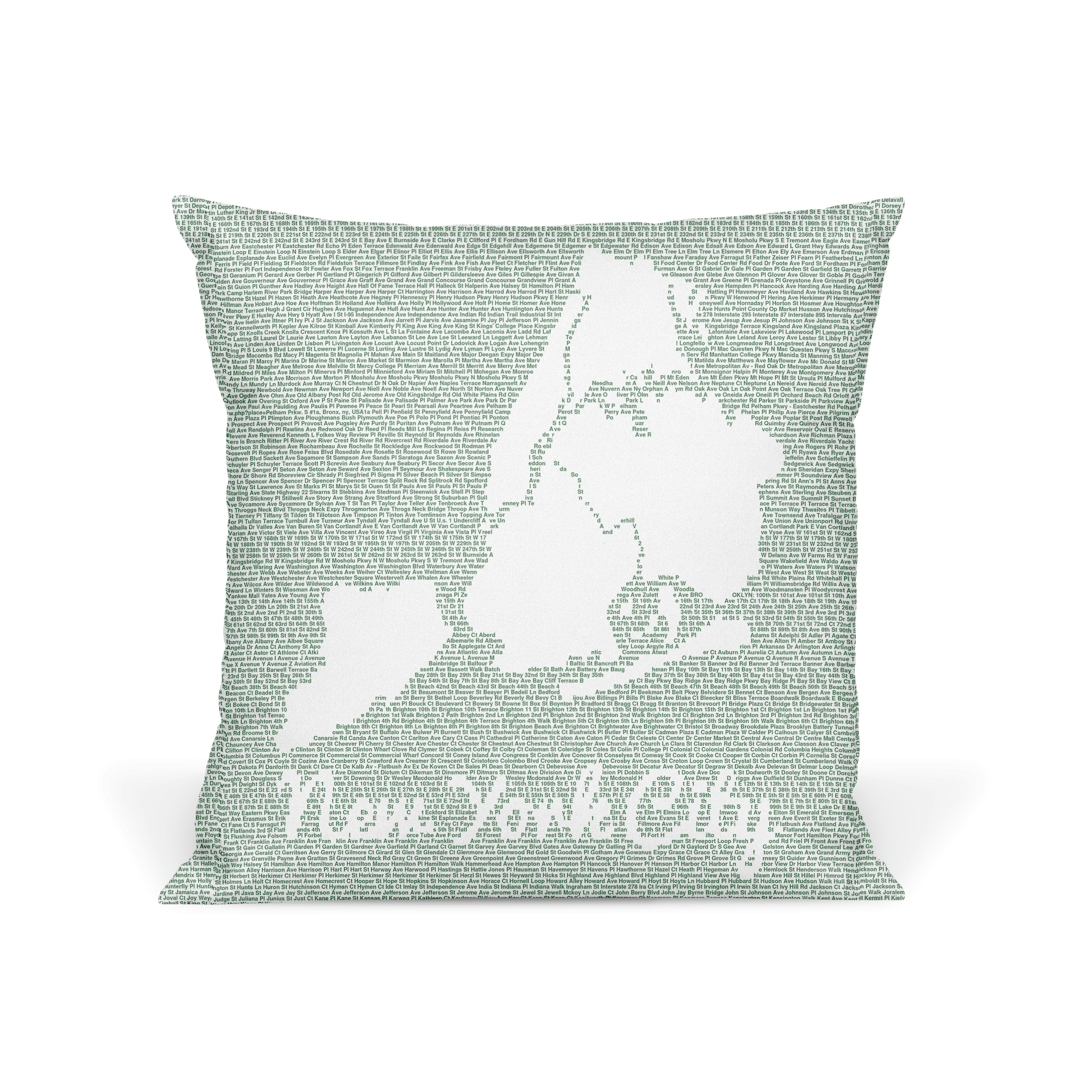 https://www.litographs.com/cdn/shop/products/nyc_pillow_green_front.png?v=1575830952