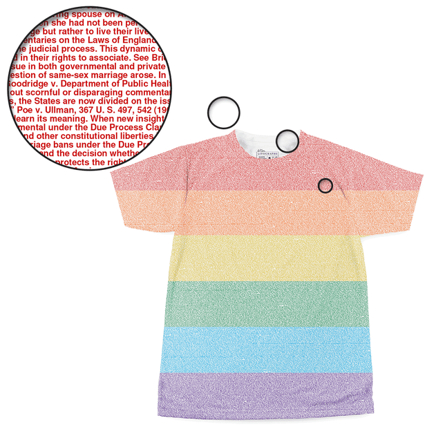 Litographs Obergefell v. Hodges Supreme Court Decision Book T