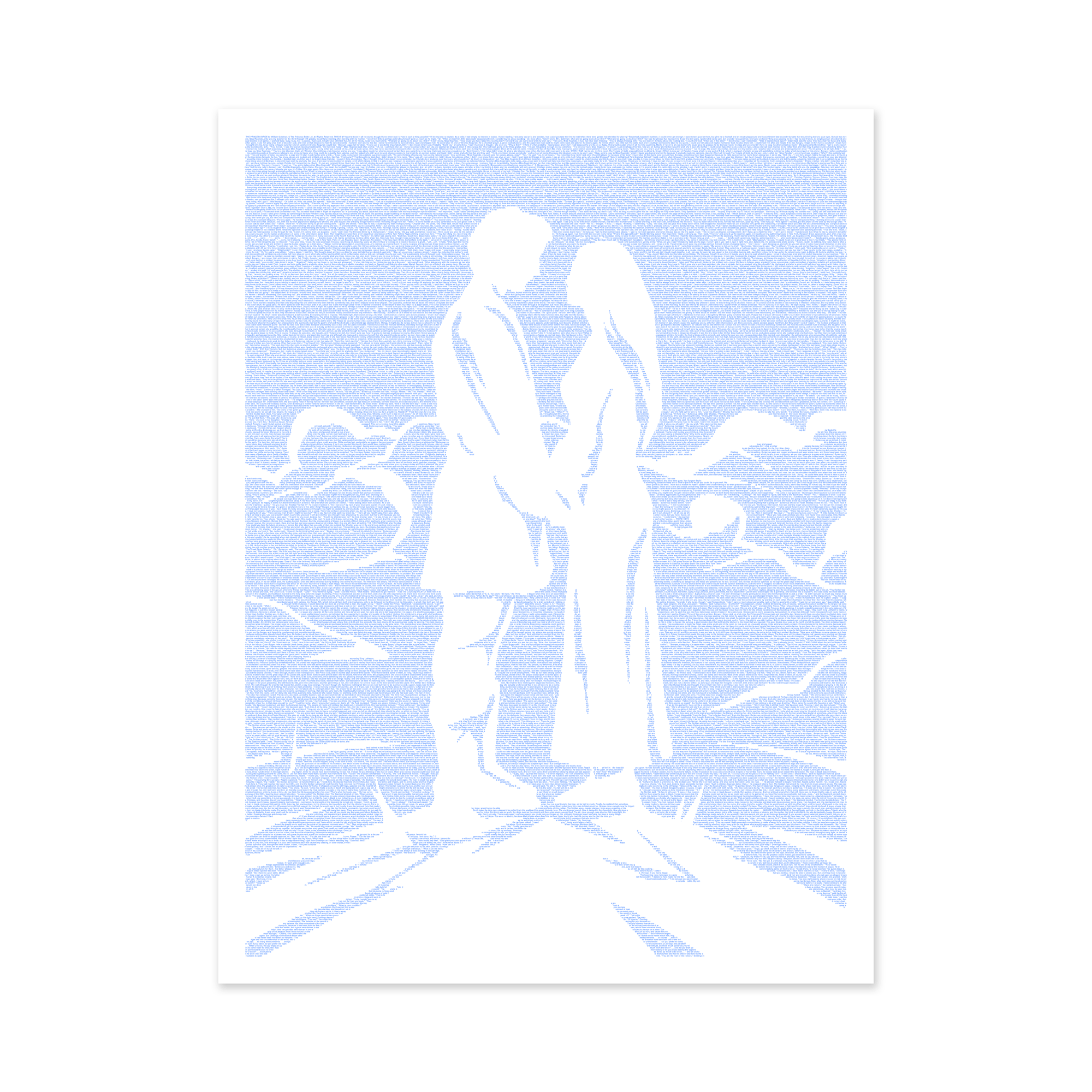 Litographs | The Princess Bride | Book Poster