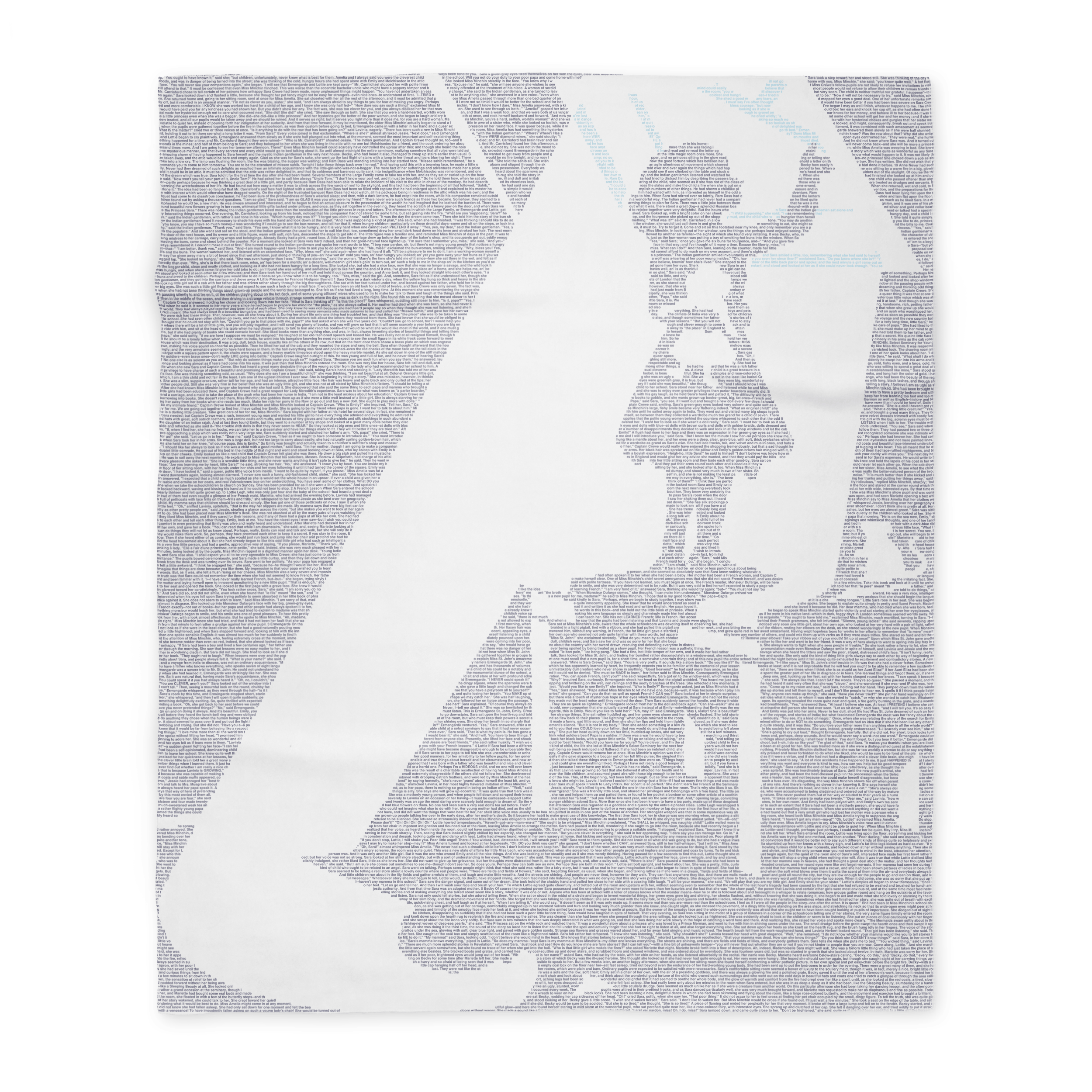 Litographs | A Little Princess | Book Blanket