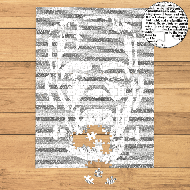 Litographs | Frankenstein | Book Puzzle