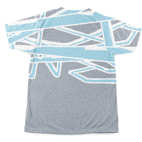 The Slow Regard of Silent Things alternate image