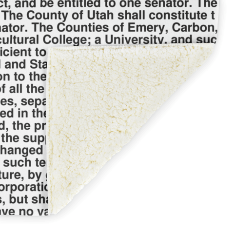 Utah's Constitution alternate image