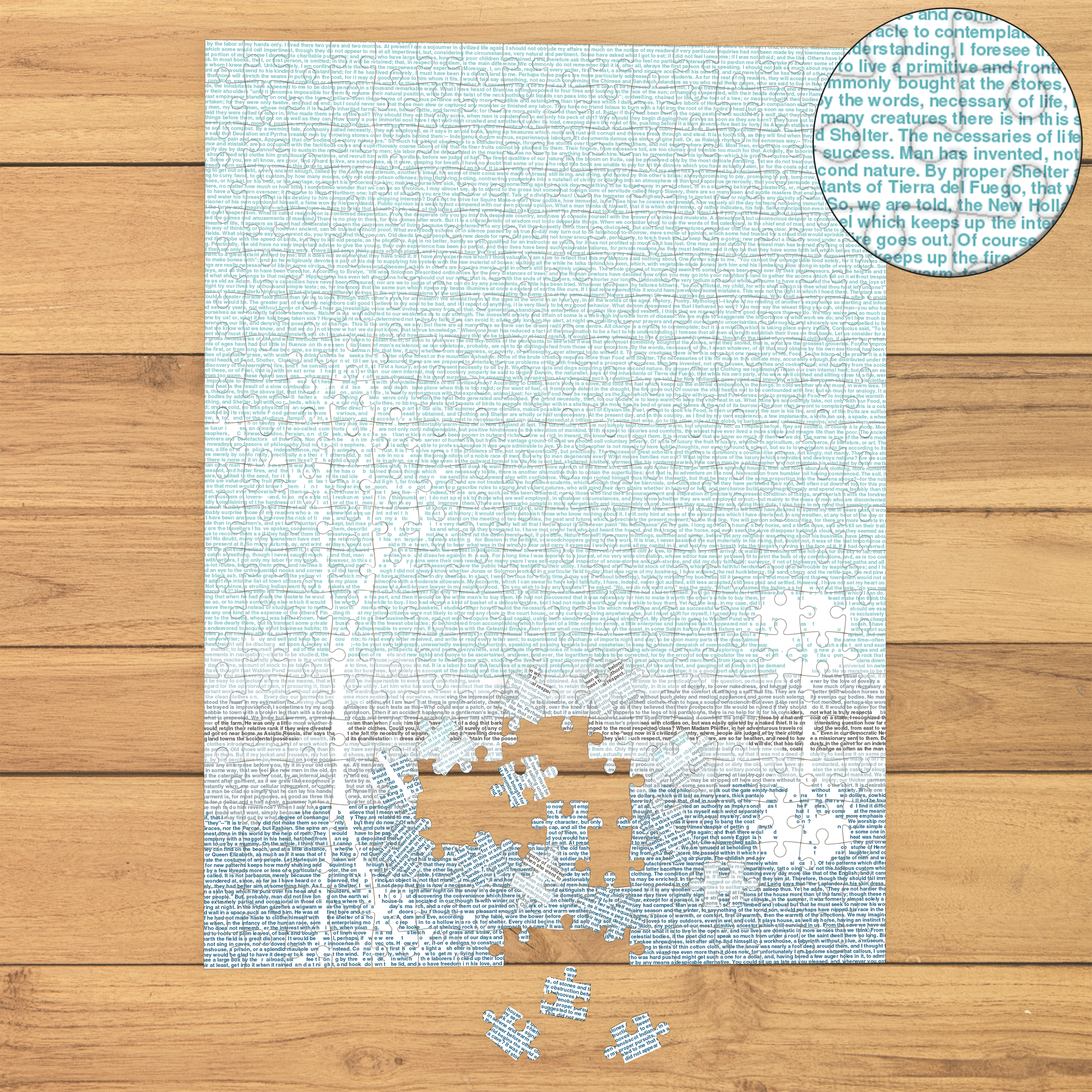 Litographs | Walden | Book Puzzle