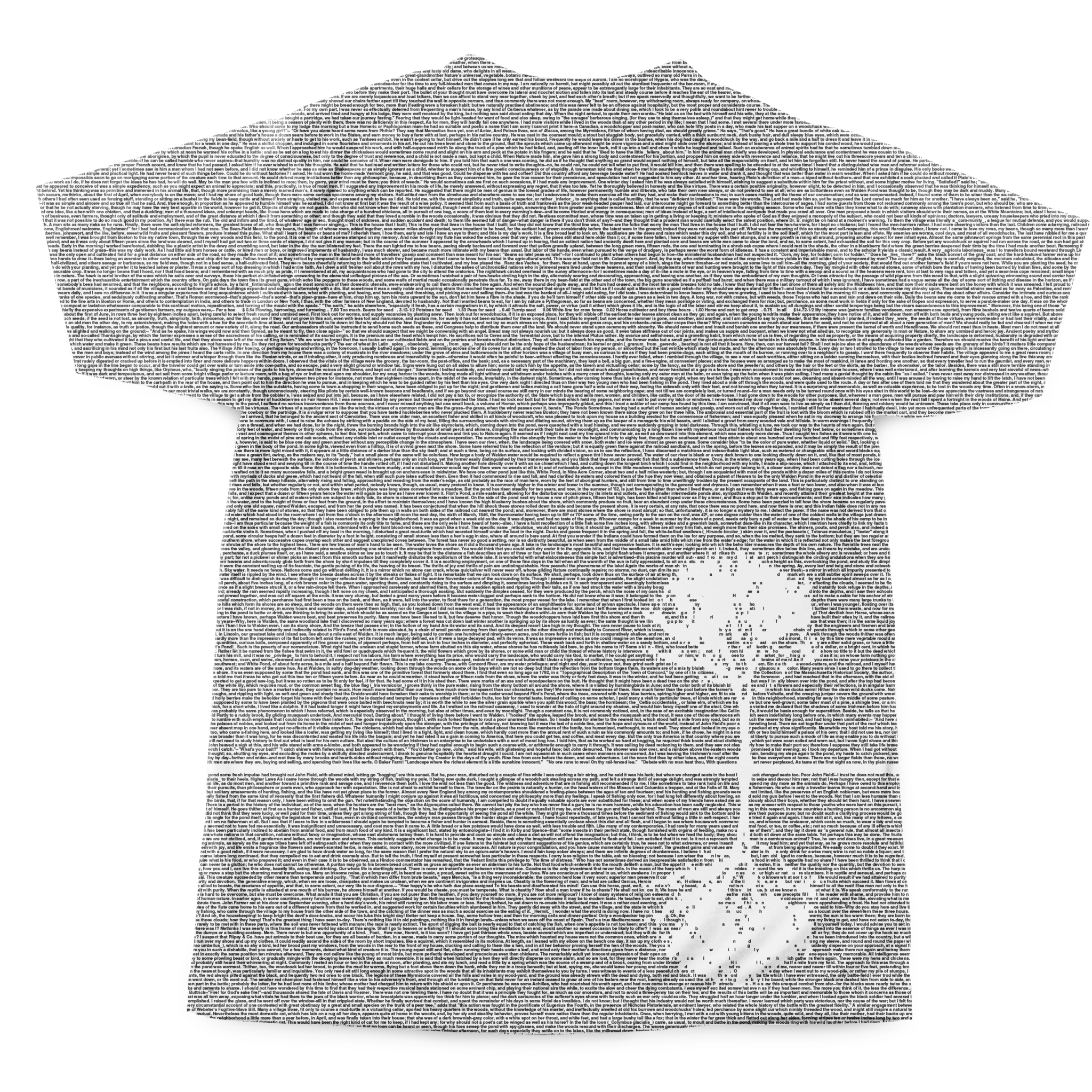 Litographs | Walden | Book T-Shirt