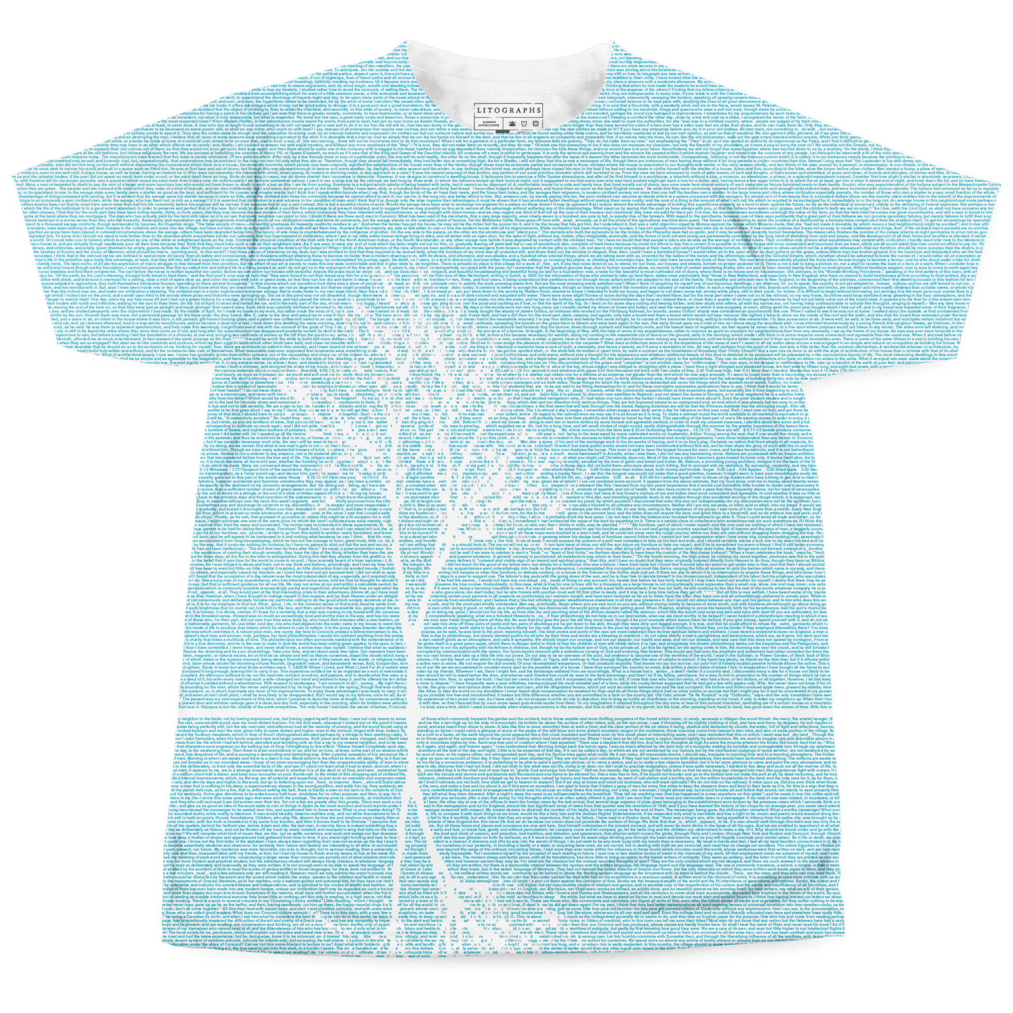Women's T-Shirts [Out of Print] Henry David Thoreau / Walden Scoop Tee (Vintage ) (Womens) Walden Shirt, Walden by Henry David Thoreau Tee, Walden T